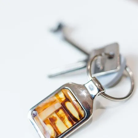 Апартаменты Baltasis Gintaras