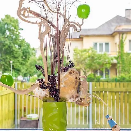 Baltasis Gintaras Паланга