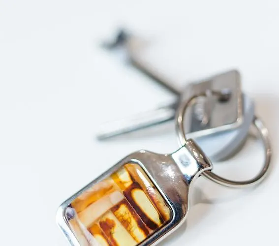 Апартаменты Baltasis Gintaras